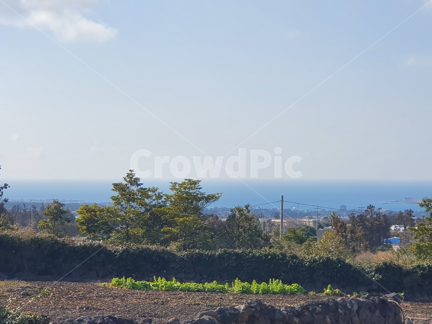 제주도,협재해수욕장,협재해수욕장가는길,수평선,바다,논,밭,자연,풍경,nature,landscape,한국자연풍경,한국자연경관,korea nature landscape,제주도,jeju,jeju island