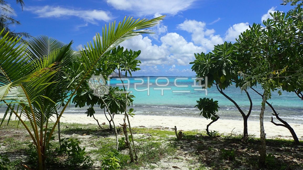 섬,사이판,마나가하섬,바다,에메랄드빛바다,에메랄드바다,비치,휴양지