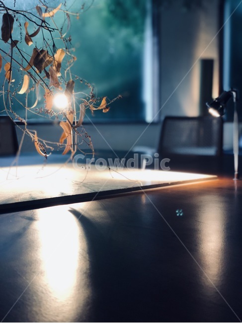 lighting,조명,빛,테이블,불빛