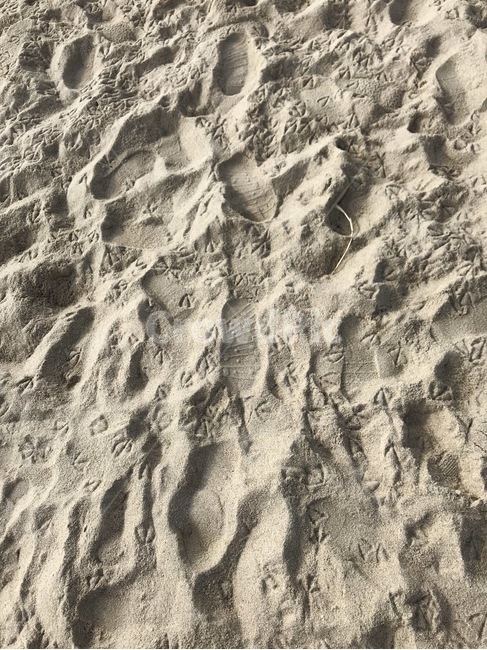 모래,자연,nature,outdoors,sand,옥외,해변