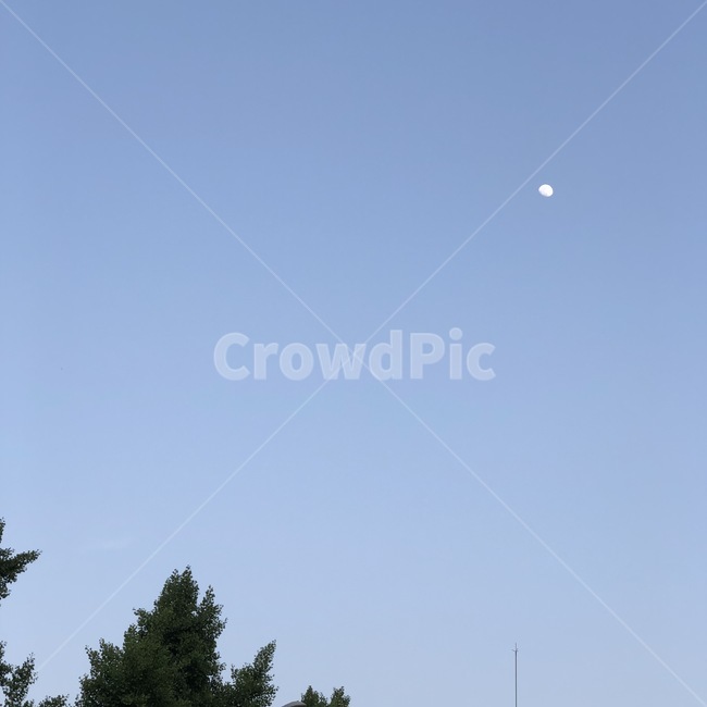 여름밤,여름하늘,하늘,저녁,달