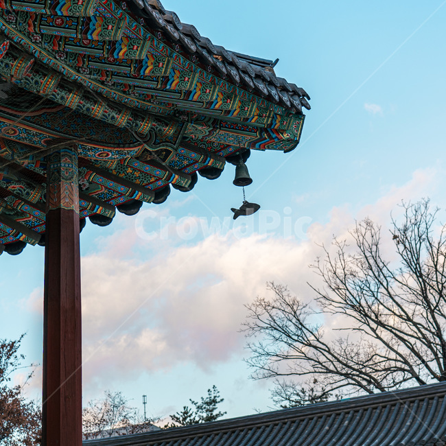 architecture,building,temple,사찰,절,풍경,단청,한국전통,한국문화,korean traditional,korean culture,건축물,건물외관,exterior,building,structure,architecture,construction