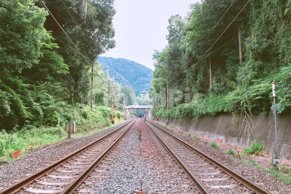 rail,레일,railway,철도,traintrack,transportation,기찻길,교통