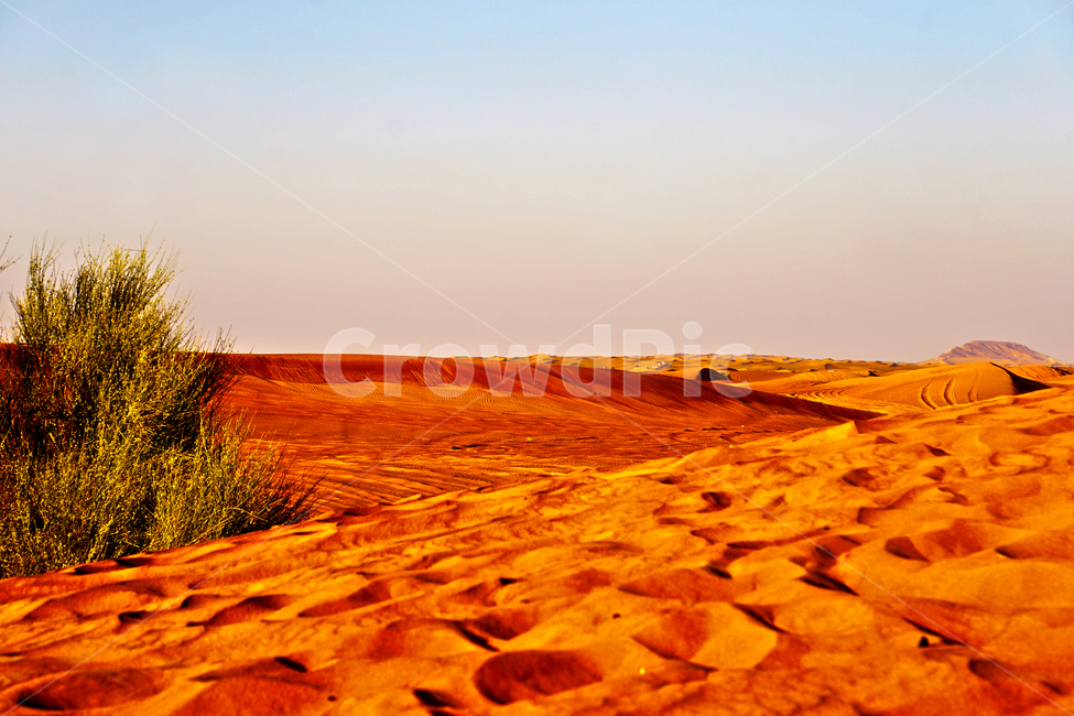 사막,두바이,모래,풍경,desert,사막투어,dubai,sand,landscape