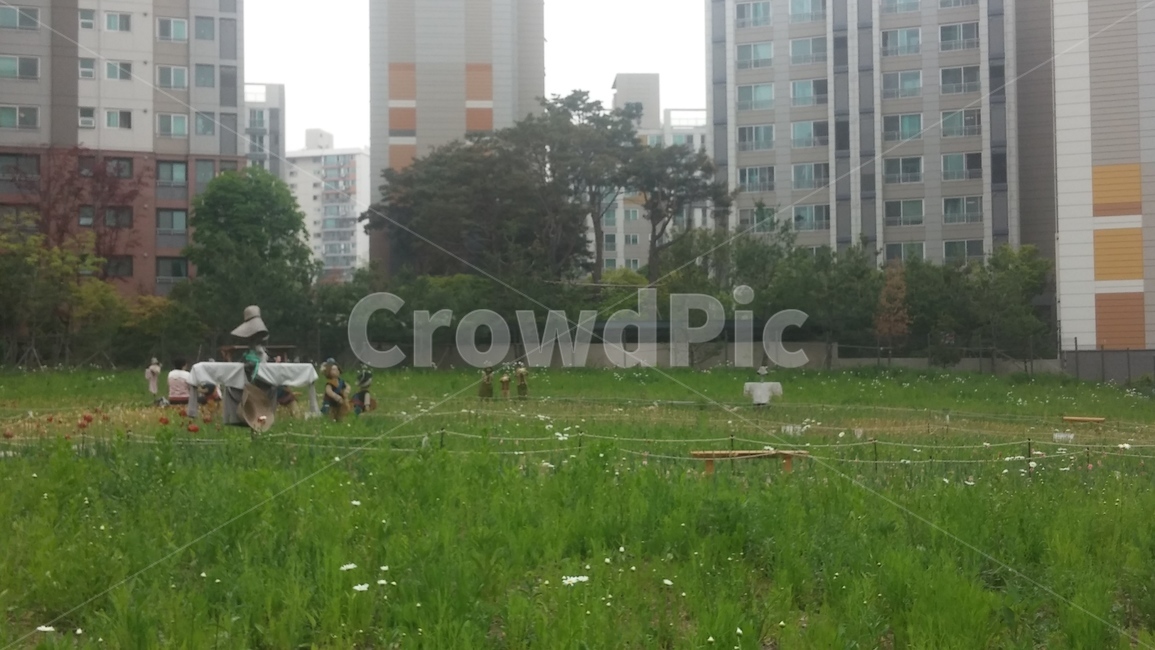 산책로,꽃밭,허수아비,아파트단지,잔디,들꽃,인간,식물,flowerbed,trail,apartmentcomplex,scarecrow,grass,apartment,plant