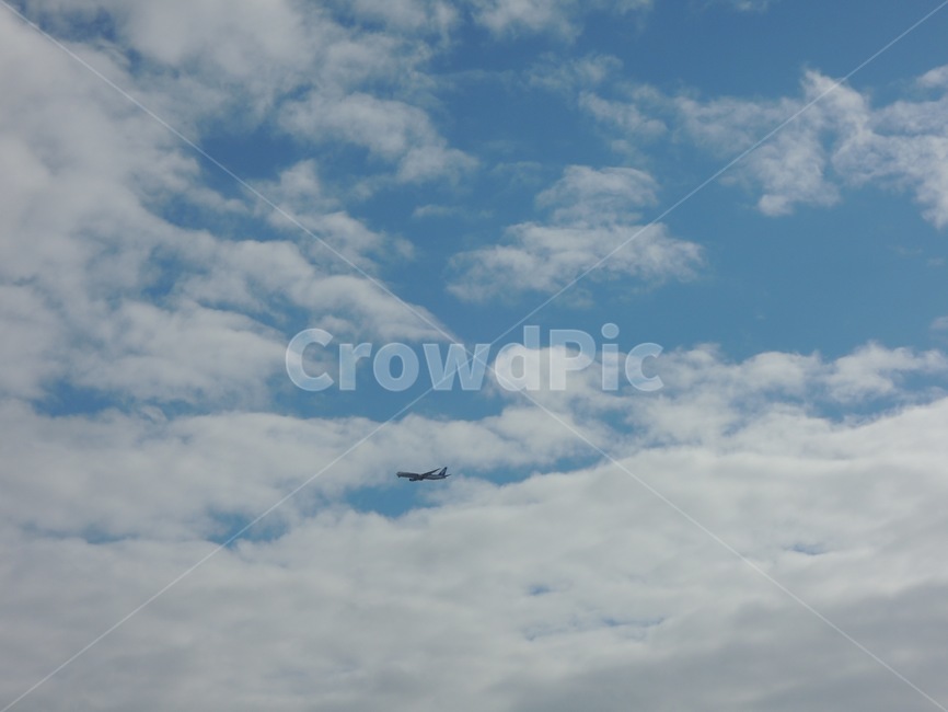 하늘,구름,비행기,날씨,자연,자연,풍경,nature,landscape,adventure,모험,leisure activities,레저 활동,bird,새,flying,나는,animal,동물,gliding,활공,transportation,교통,aircraft,항공기,airplane,vehicle,차량