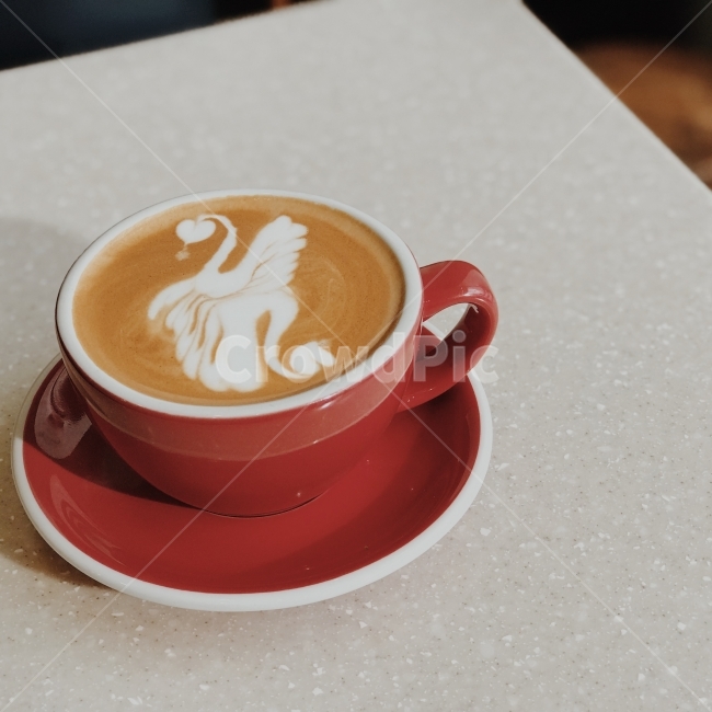 라떼아트,아트,커피,백조,라떼,커피,카페,coffee,cafe,감성,sensible,feeling