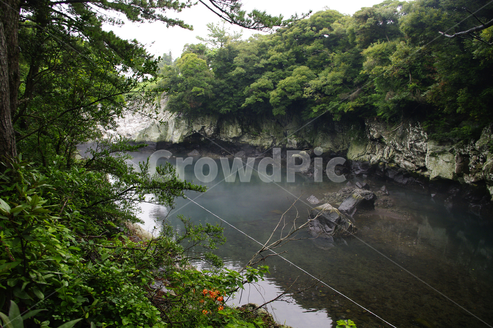제주,쇠소깍,풍경,하천,나무,식물,자연,풍경,nature,landscape,한국자연풍경,한국자연경관,korea nature landscape,제주도,jeju,jeju island,water,물,outdoors,옥외,river,강