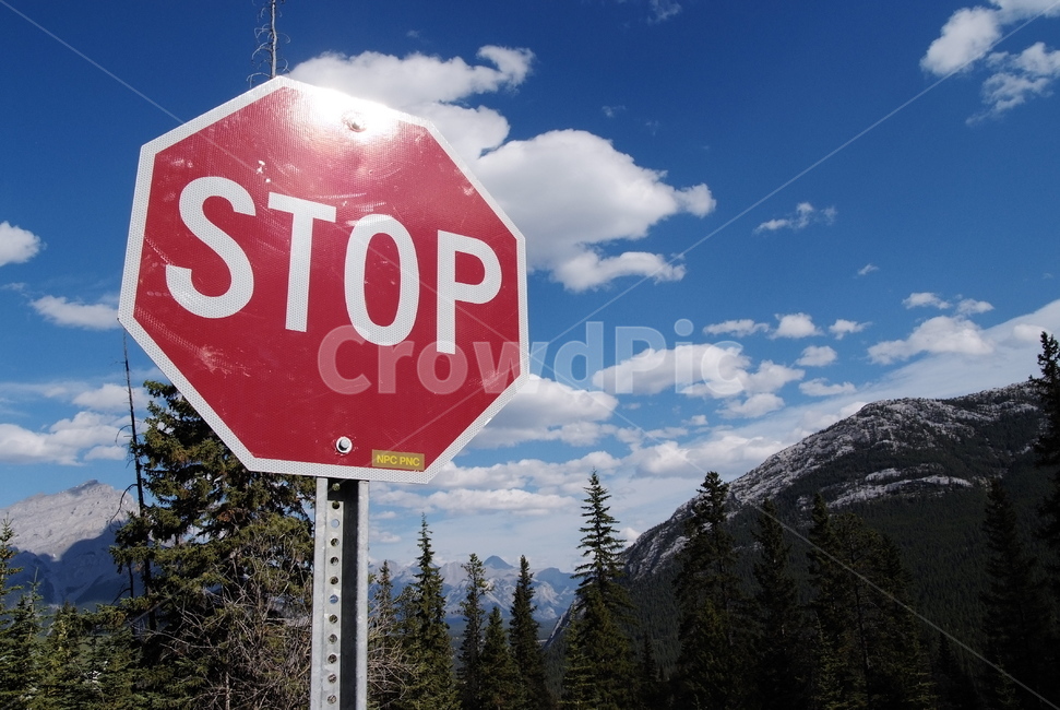 roadsign,도로표지판,sign,symbol,상징,멈춤,stop