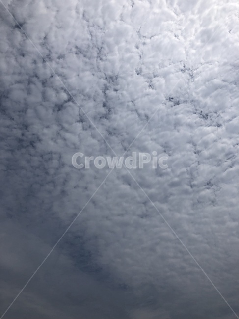 좋은날씨,구름,sky,cloud,weather,날씨,outdoors,옥외,nature,하늘
