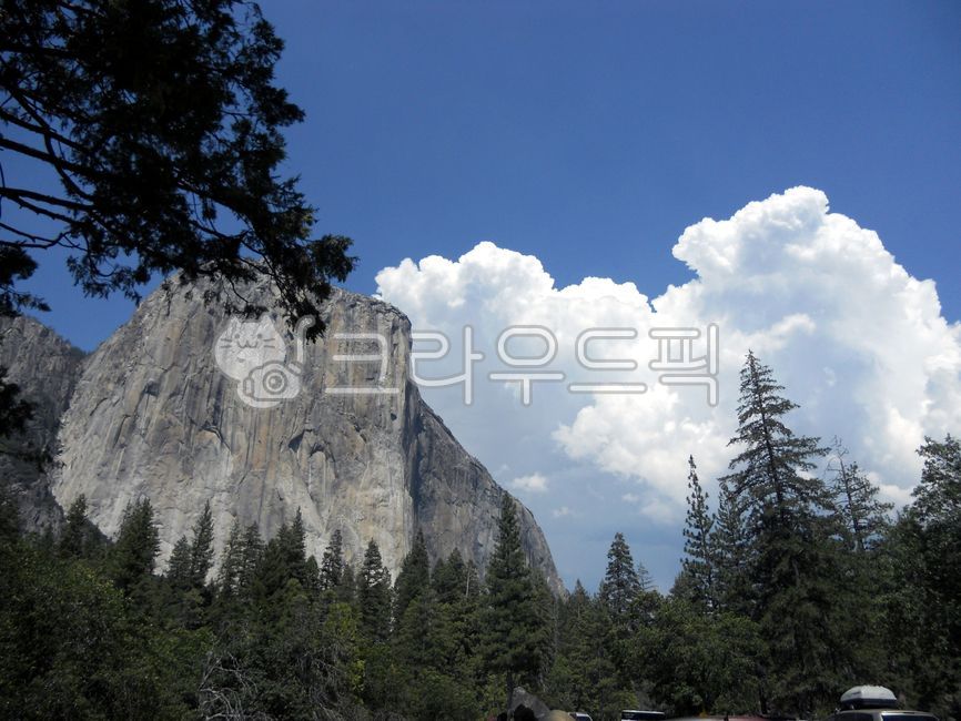 USA,Cliff,yosemite,outdoors,nature,tree,yosemitenationalpark,yousemite,Americas National Parks,Yosemite National Park