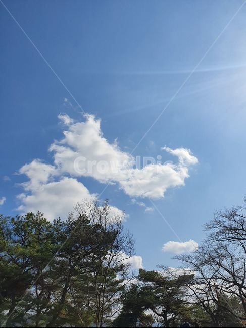 nature,자연,나무,하늘,sky,tree,sun,구름,산,cloud,skyview