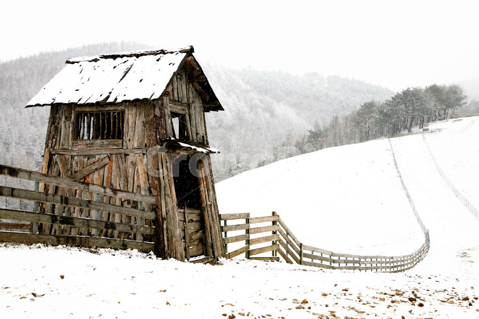 겨울,눈,목장,대관령,대피소,설경,겨울,계절,winter,season,자연,풍경,nature,landscape,outdoors,옥외,building,건물,housing,주택