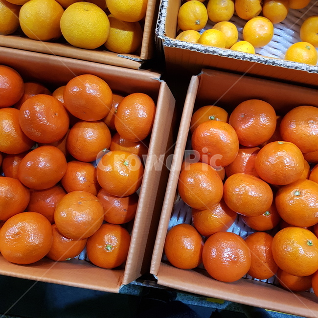 감귤류과일,과일,홍매향,제주도,제주도특산품,fruit