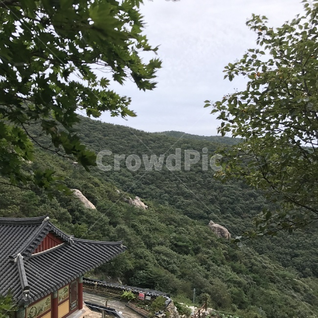 절,풍경,산,나무,자연