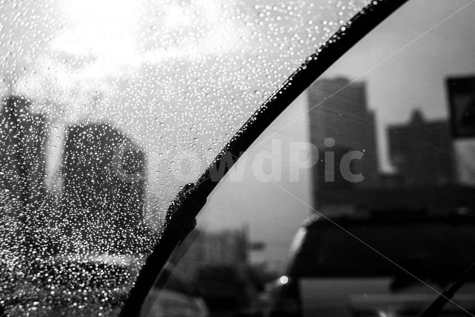 와이퍼,비,여우비,경계,흑백사진,스냅,운전,차안,비,비오는날,rain,rainy,교통,교통수단,traffic,transportation,흑백,모노톤,monochrome,black and white
