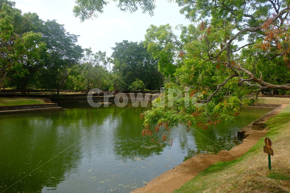 호수,물,강,자연,초록,green,river,lake,자연,풍경,nature,landscape,water,outdoors,옥외