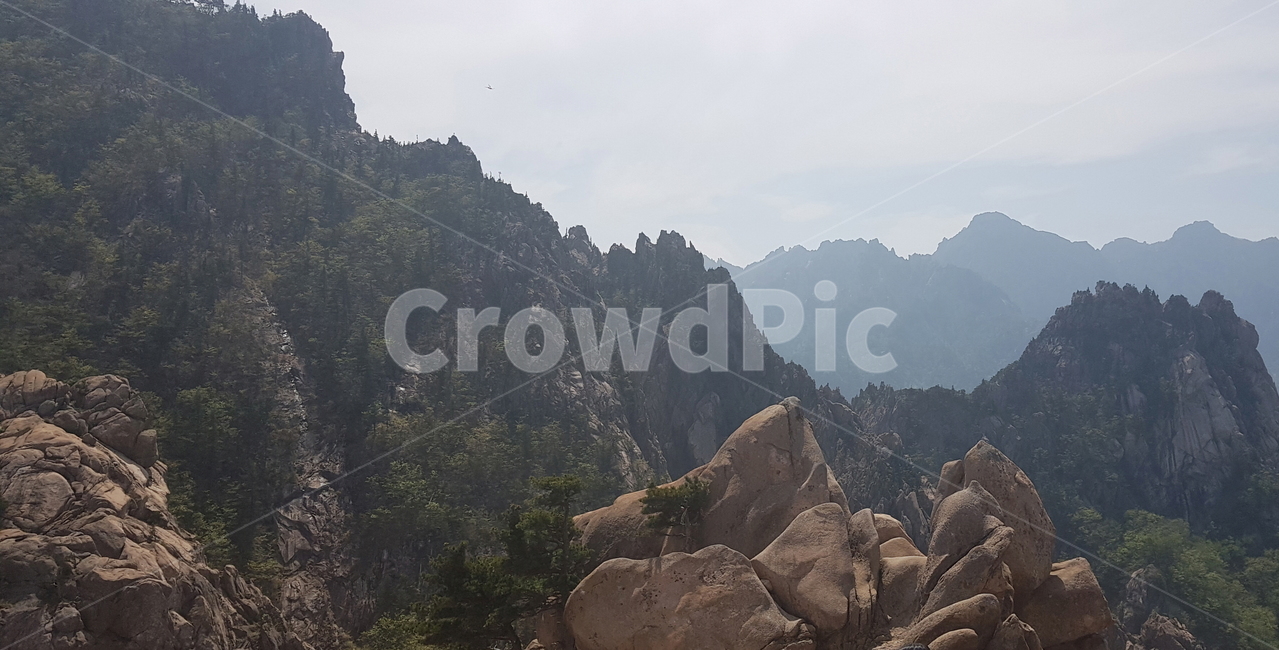 자연,낭떠러지,산,나무,바위산,배경화면,nature,cliff,mountain,tree