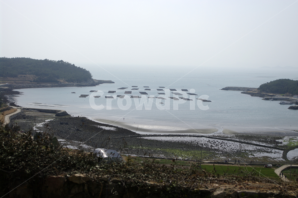 바다,풍경,섬,청산도,하늘,논,수평선,자연,풍경,nature,landscape,promontory,곶,land,땅,outdoors,옥외,ocean,대양,sea,water,물,shoreline,해안선,scenery