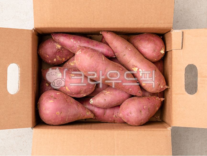 chestnut sweet potato,sweet potato,Haenam Sweet Potato,Sweet Potato Dishes,Honey sweet potato,Pumpkin Sweet Potato,yellow sweet potato