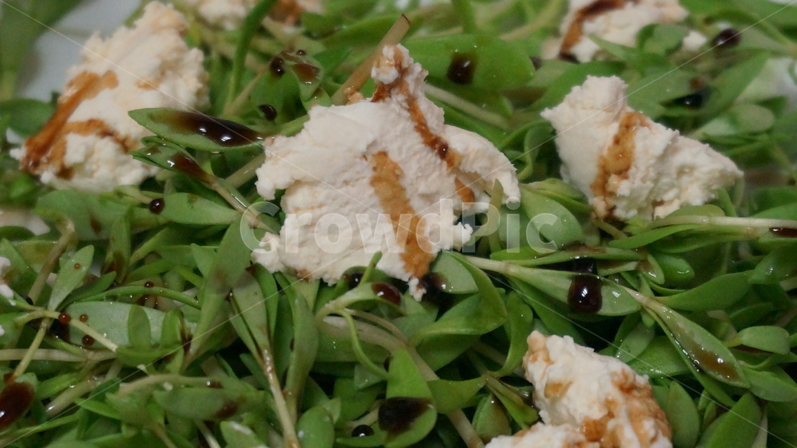 샐러드,치즈,발사믹,돌나물,salad,cheese,요리