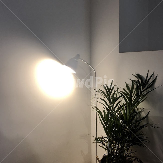 감성적,카페,나른한오후,조명,창문