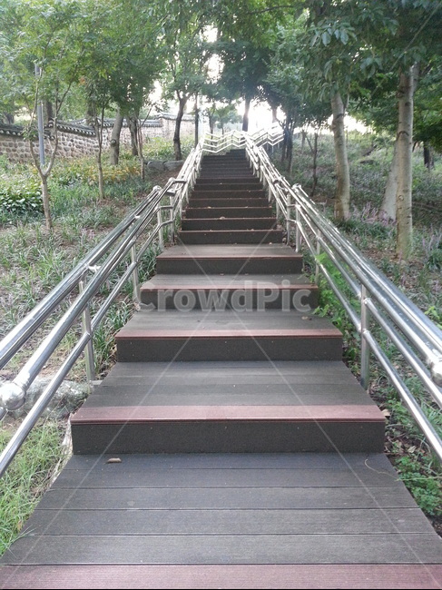 계단,공원,나무,자연,산책,자연,풍경,nature,landscape,handrail,난간,banister,staircase