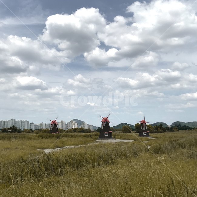 nature,자연,outdoors,옥외,날씨,cumulus,적운,sky,하늘,cloud,구름,grassland,목초지,field,들