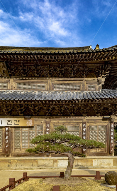 화엄사,각황사,사찰,문화유산,문화재,소나무,전통건축물,기와,지붕,처마,추녀,감성