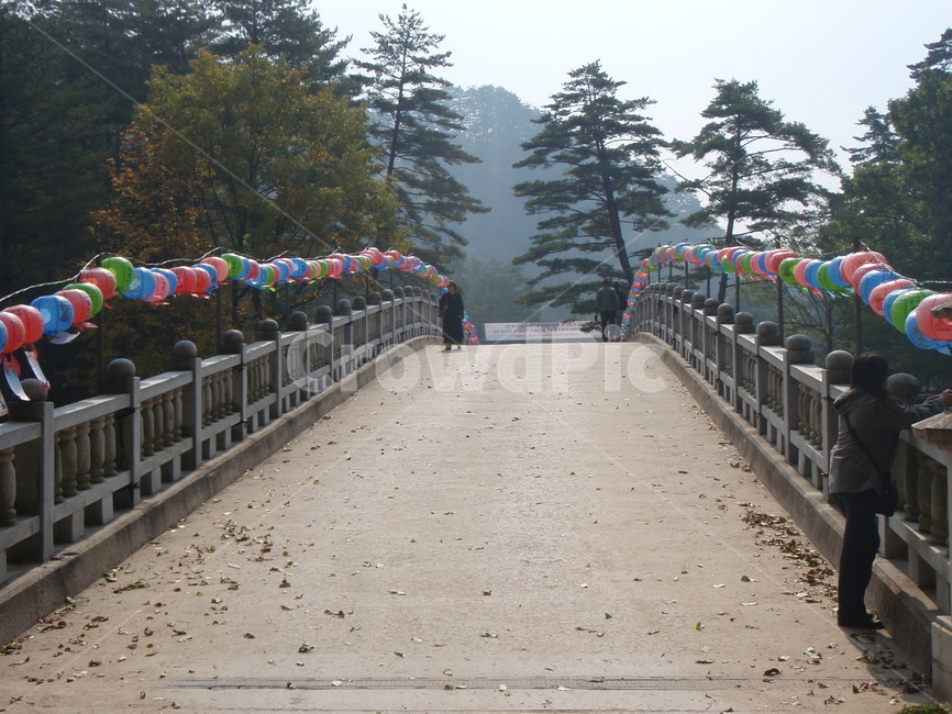 나무,다리,하늘,연등,흙