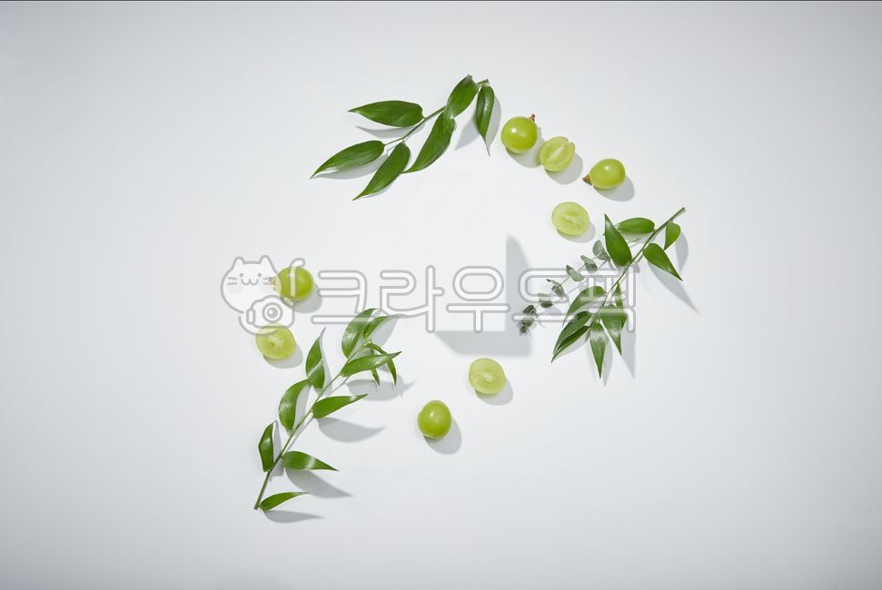 studio,Fresh,beauty,shadow,fruit,concept,still life,white background,section,inside,branch,leaves,green,natural,nature,grape,square,background,refreshing,plant,fresh