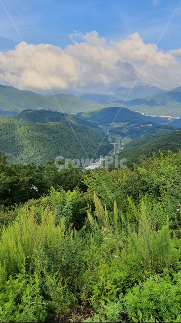 강원도,육백산,산,자연,경치,gangwondo,mountain,nature,landscape