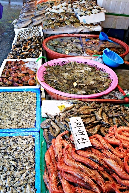 새우,조개,좌판,자연,배경,먹거리,시장,마트,마켓,market,mart,market place,음식,식재료,요리,food,cook,meal,dishes,food reserves,수산물,해산물,fishery products,seafood