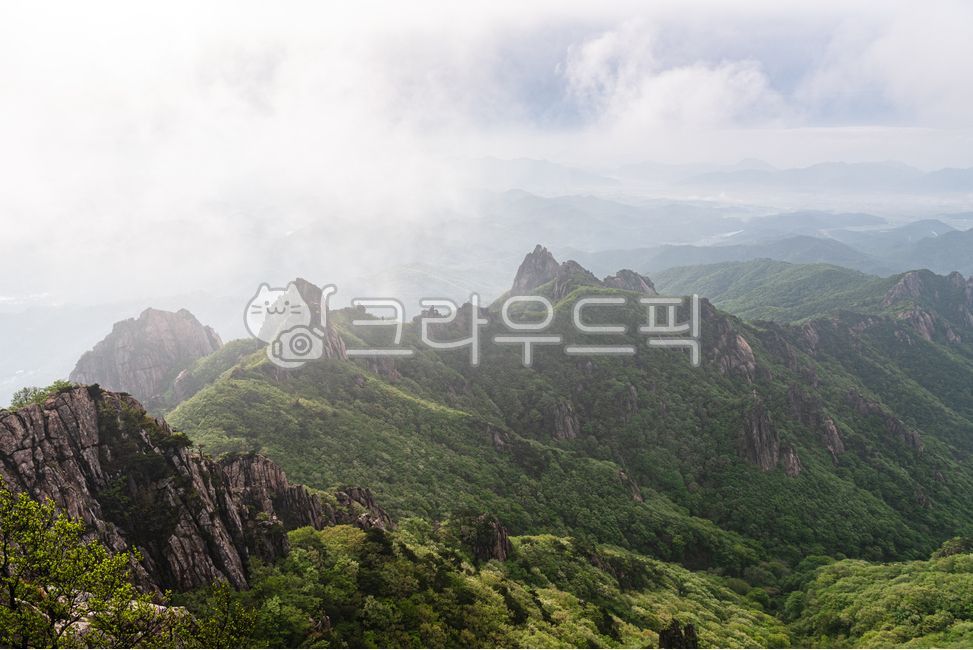 월출산,국립공원,바위,바위산,운해,안개,등산,숲,산,나무,식물,자연,경관,경치,날씨,하늘,구름