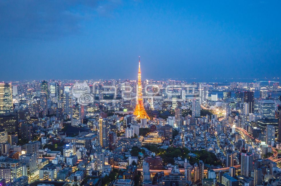 도쿄타워,도쿄,건축물,랜드마크,동경,metropolis,building,건물,city,town,도시,urban,도시의,spire,첨탑,architecture,steeple,탑,tower,건축학