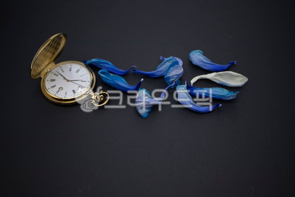 petal,hour,watch,time,clock,dry petals