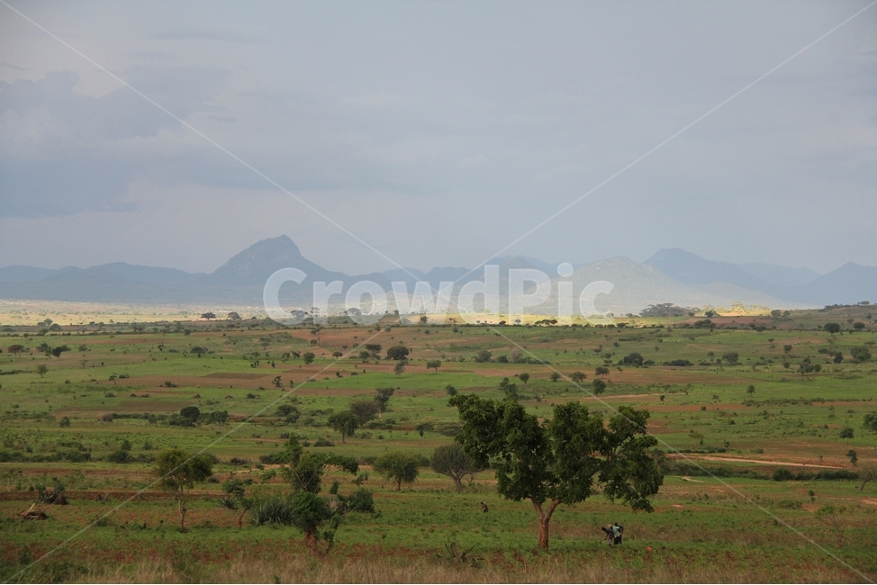 아프리카,탄자니아,빛,벌판,이국적,자연,풍경,nature,landscape,outdoors,옥외,field,들,grassland,목초지