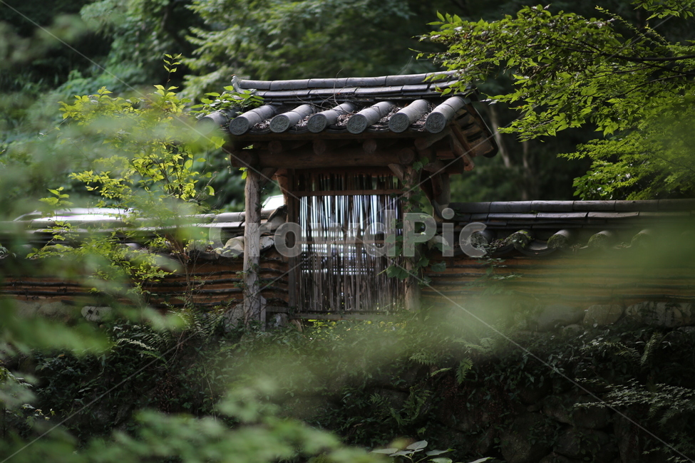 문,한국,숲속,감성,기와,전통,한국전통,한국문화,korean traditional,korean culture,건축물,건물외관,exterior,building,structure,architecture,construction