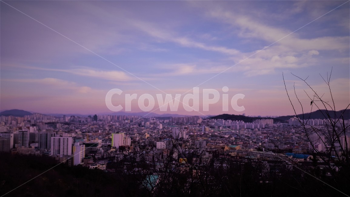 도시전경,풍경,도시,하늘,분홍하늘,배경,노을,자연,도시,풍경,city,landscape,nature,경치,outdoors,옥외,scenery,urban,어반,building,건물,metropolis,중심지,town,시티