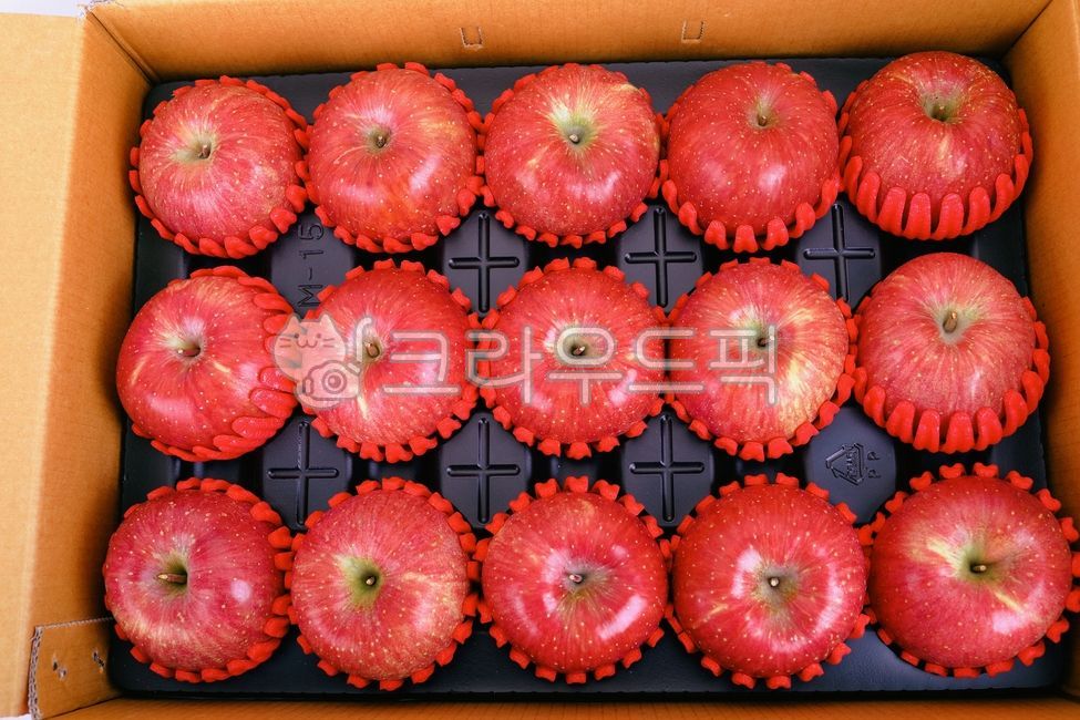 Hongro apple,apple,apple box,apple gift,fruit,apple packaging