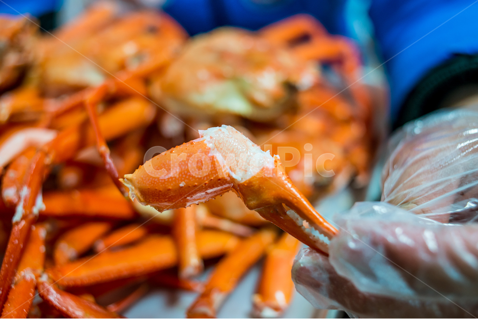 홍게,게,꽃게,랍스터,식품,해물,해산물,홍게찜,크랩,crab,braisedredcrab,redsnowcrab,음식,식재료,요리,food,cook,meal,dishes,food reserves,수산물,해산물,fishery products,seafood