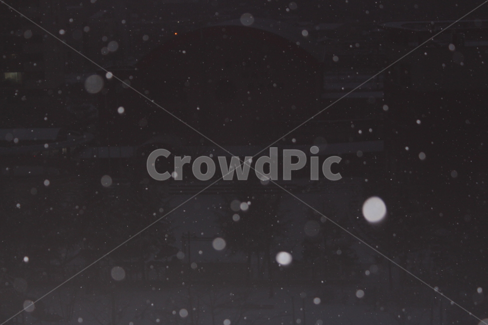 겨울,눈,snow,풍경,landscape,snowing,winter,겨울아침,겨울,계절,winter,season