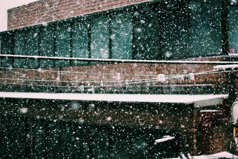 눈,snow,빨래집게,겨울,펑펑,함박눈,겨울,계절,winter,season
