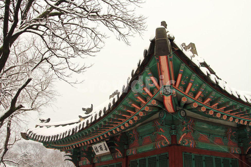 눈온날,겨울,창덕궁,눈온풍경,단청,기와,눈,겨울,계절,winter,season,한국전통,한국문화,korean traditional,korean culture,랜드마크,landmark,tourist attraction,한국랜드마크,한국관광지,한국명소,korea landmark,korea tourist attraction,건축물,건물외관,exterior,building,structure,architecture,construction