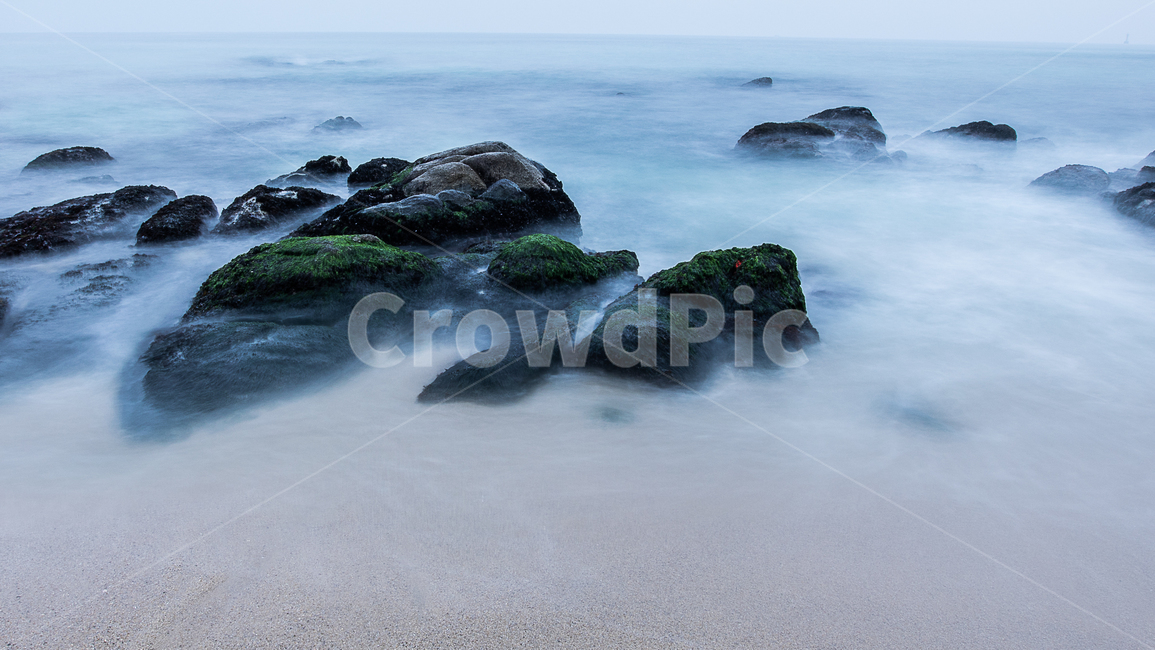 동해바다,강릉해변,사천항,밤바다,장노출,자연,풍경,nature,landscape,plant,식물