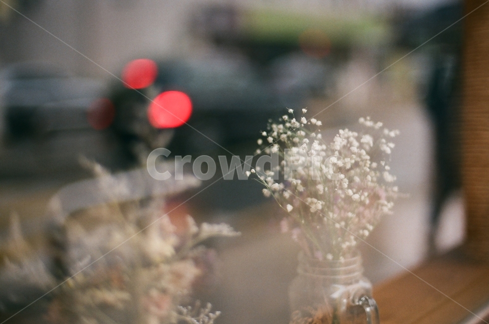 안개꽃,보케,드라이플라워,꽃병,머그컵,아웃포커스,보케사진,꽃,flower,감성,sensible,feeling