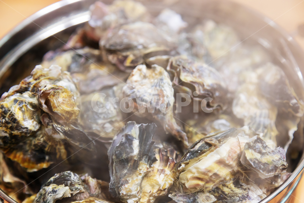 굴,굴찜,신선한,해산물,조개류,식사,맛있는,음식,식재료,요리,food,cook,meal,dishes,food reserves,수산물,해산물,fishery products,seafood