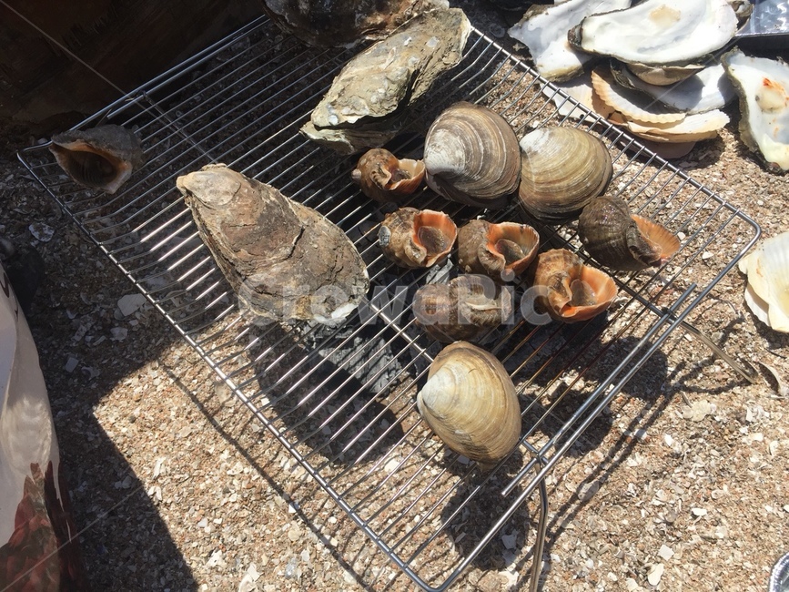 바다,소라,고동,ocean,godong,해산물,음식,식재료,요리,food,cook,meal,dishes,food reserves,수산물,해산물,fishery products,seafood