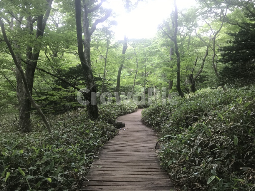 제주한라산,한라산,영실탐방로,백록담,윗세오름