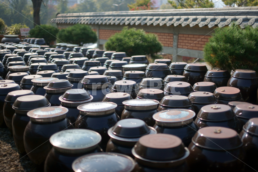 장독대,항아리,발효,된장,고추장,한국전통,한국문화,korean traditional,korean culture